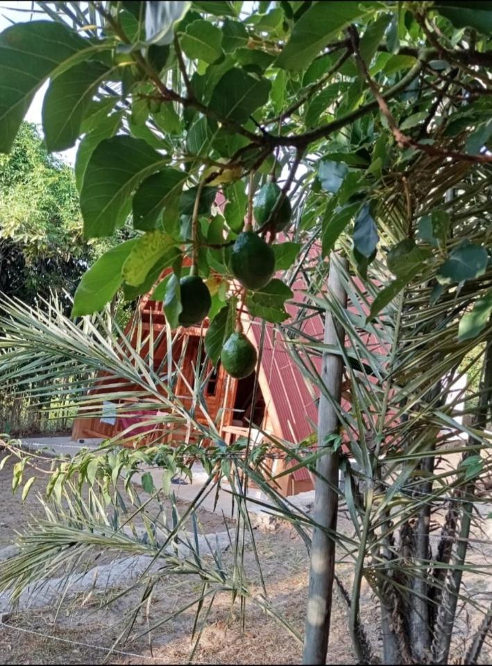 Chale Hakuna Matata-Vale Do Capao Exterior photo
